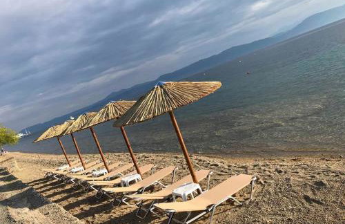 Mamanis Studios - Foto 4