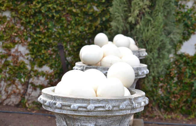 Berluda Farmhouse & Cottages - Photo 76