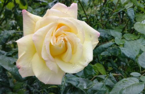 suite in cascina affittacamere - Photo 13