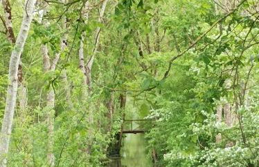 Le logis de LANGE apt Les Aigrettes - Foto 50