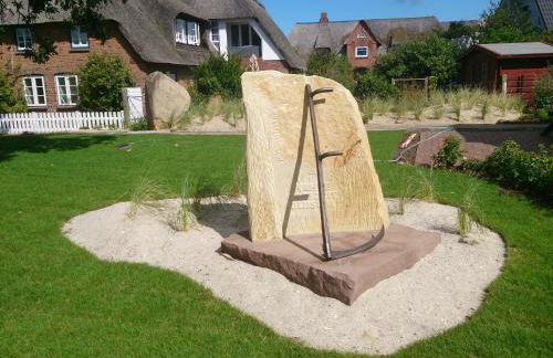 Midlum Zaunkönig - Foto 21