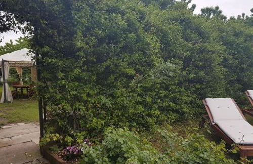 Nadia Green House Sommacampagna Verona - Foto 38