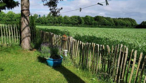 Ferienwohnung Brodersen - Foto 5, Garden, Garden view