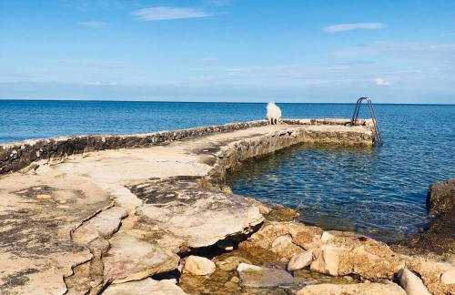 Vila Bianca - Foto 27