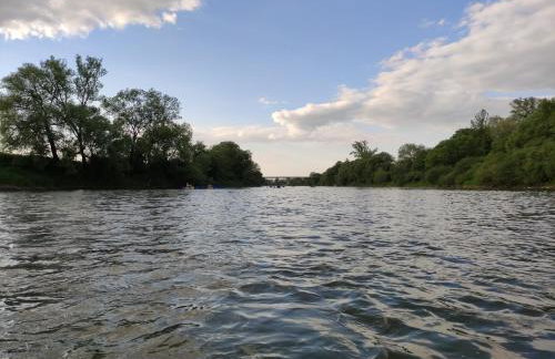 Wielgosówka - Foto 23