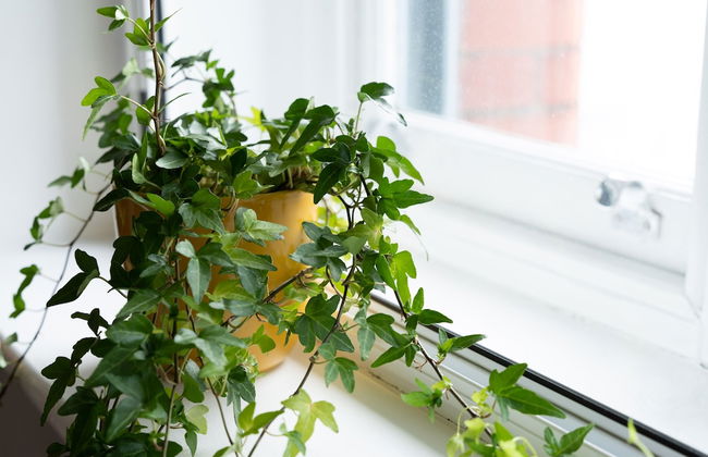 High Street Town House - Photo 77