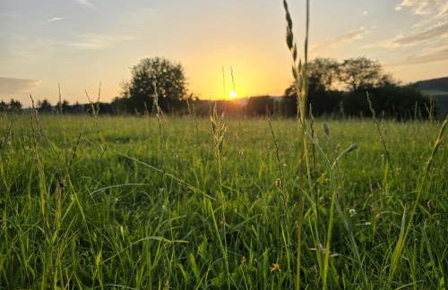 Kleine Milchbar Barrierefrei in den Bergen auf dem Hof Grindelborn - Foto 57