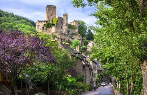 Appart T2 Village vacance 3 étoiles St Geniez d'Olt 2 piscines chauffées 75 - Photo 30