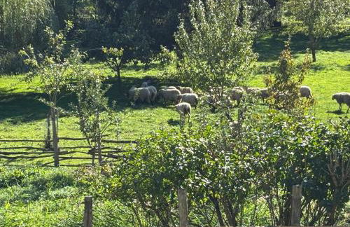 Chez Patricia - Foto 35