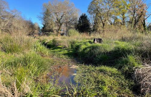 Domaine forestier Darricau au bord du lac, 12 min de l'océan - Foto 64