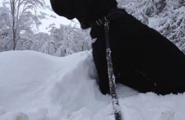 Appartamento Turistico Dal Morino - Foto 38
