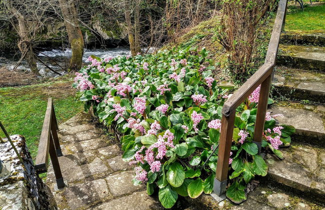 Corrada Torales - Photo 31