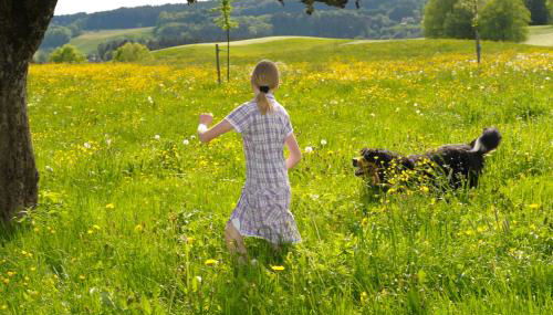 Ferienwohnung Hof Zürnen - Foto 5