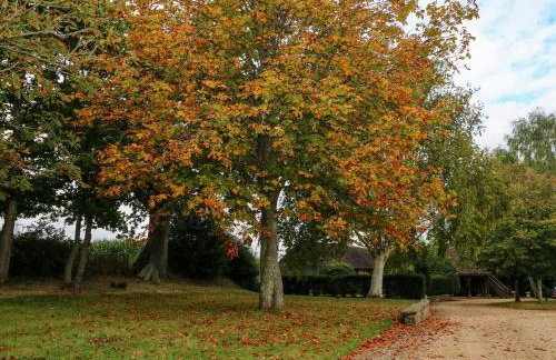 Tygalls Farm - Foto 32