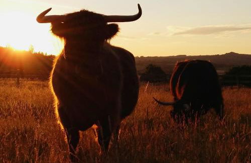 Harewood Estate Cottages - Foto 79