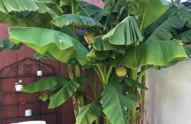 Ferienwohnung Dettum - Foto 72