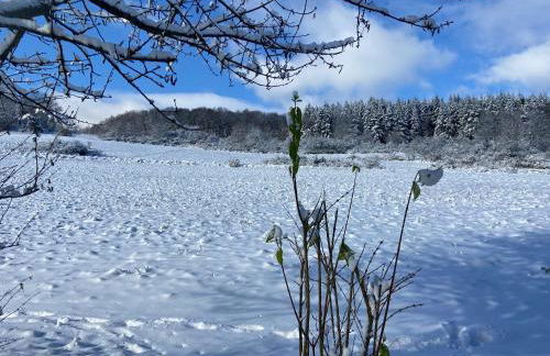 Rauszeit-Tiny Waldblick - Foto 59
