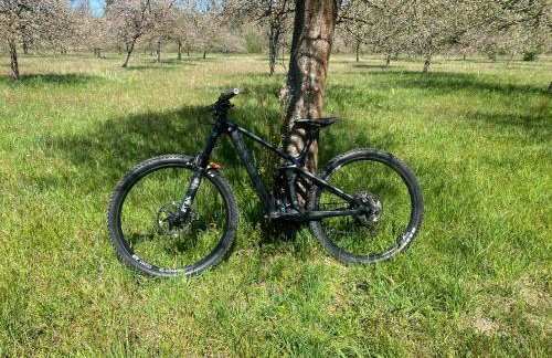 Ferienwohnung Heppenheim mit Hund- Wohnung "Odenwald" mit 2 Schlafzimmern- Das schiefe Haus - Foto 20