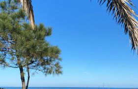 Résidence les chênes - Foto 33