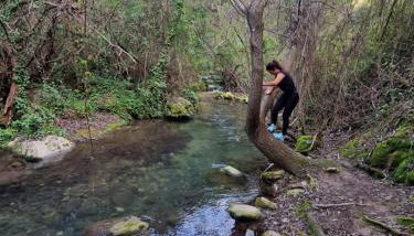 Alojamientos Sierra de Cádiz Benamahoma - Foto 4