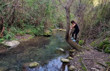 Alojamientos Sierra de Cádiz Benamahoma - Foto 4