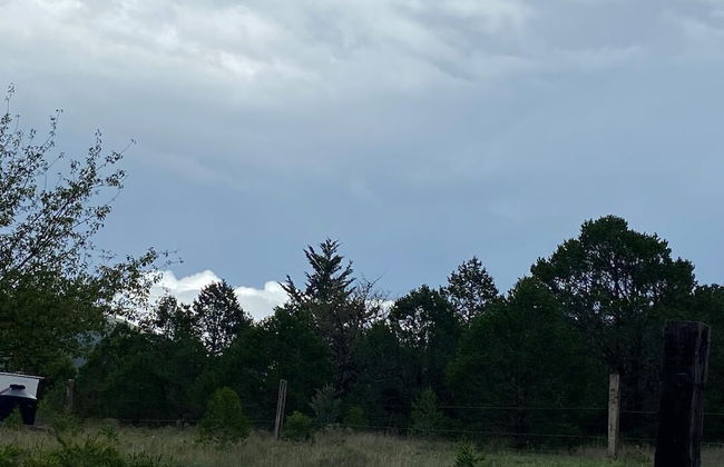 Las Estrellas Cabañas en el Bosque - Foto 33