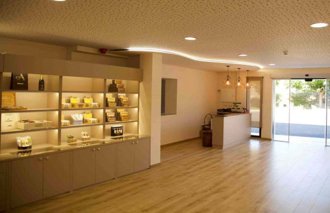 Visita a la fábrica de turrones El Artesano - Foto 4