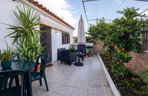 Cantinho Alentejano-Rua das Hortas, Corte Pao e Agua - Foto 8