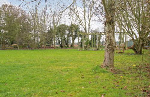 Goldfinch - Photo 15