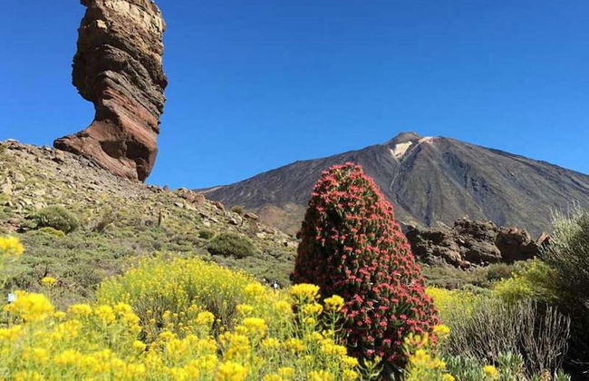 Belvilla by OYO Apartamento en Playa Las Carmenes - Foto 17