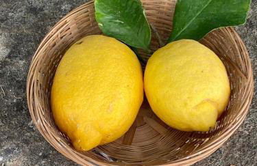 Agroturismo Finca Can Sec - Foto 13