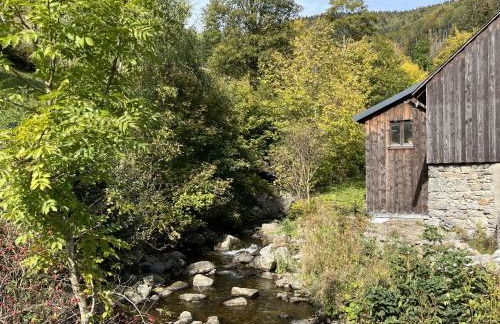 Apartment Ebser by Interhome - Foto 23