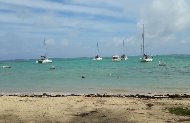 Allamanda Studios and Apartments - Photo 32