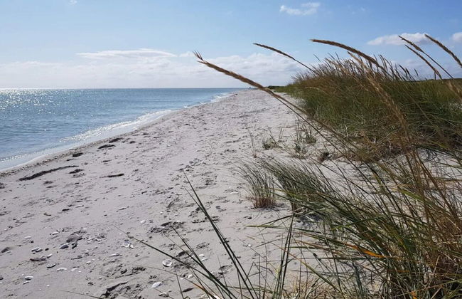 6 Person Holiday Home in Hals - Foto 30