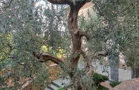 Casina di Alice - Foto 37