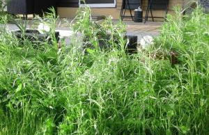 Wikingerstadt 1 - Foto 23