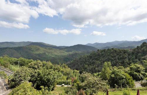 AFFRESCATO - Palazzo Ravaschieri - Foto 40