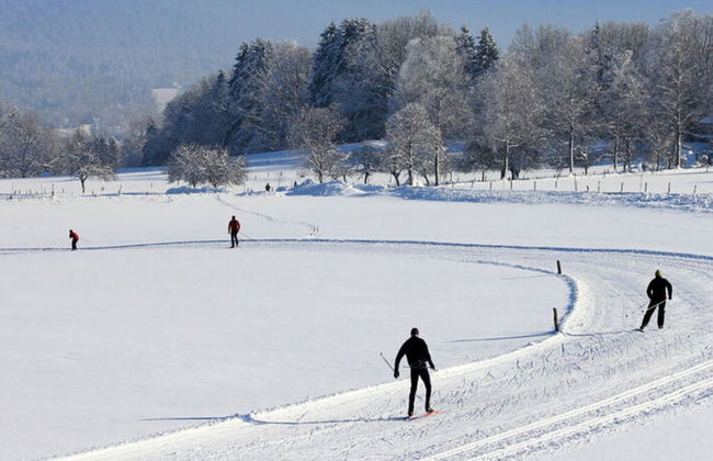 Bergwiesen - Studio House - Foto 8
