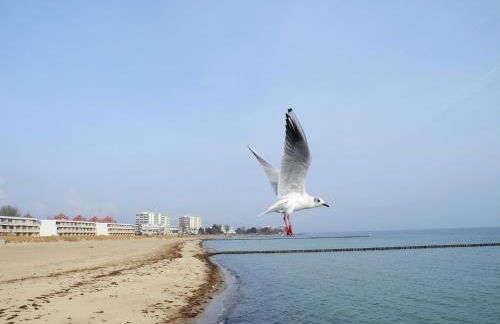 Apartment Leuchtturm 16 - Foto 28