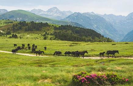 Gîte au coeur du Plantaurel - Foto 15