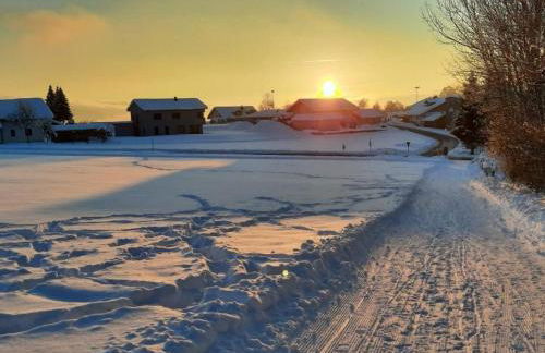 Blockhaus am Baumwipfelpfad - Foto 60