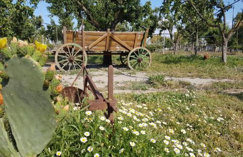 Oasi Le Fontanelle - Foto 27