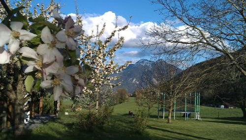 Hoderhof - Foto 3, Garden