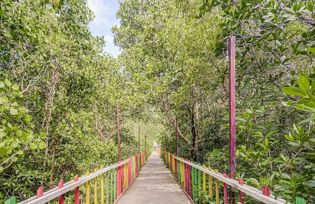 OYO Homes 91118 Homesstay Desa Wisata Budo Near Desa Wisata Budo - Photo 18