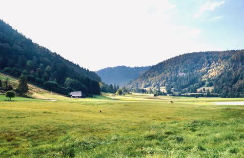 Backhüsli am Bauerngarten - Foto 28