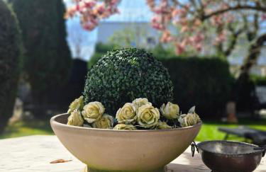 Taunusgarten - Photo 1