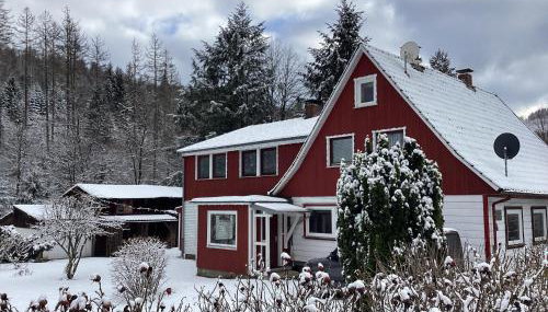 Charmante Harzer Doppelhaushalfte - Foto 2