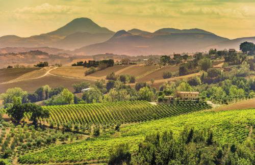 Villa w/ Wine Tours Near Beach - Photo 70