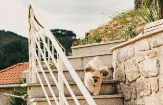 Casa Fidalgo - Foto 26