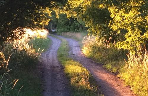 Kranichhof - Studio, Loft & Atelier - Photo 26